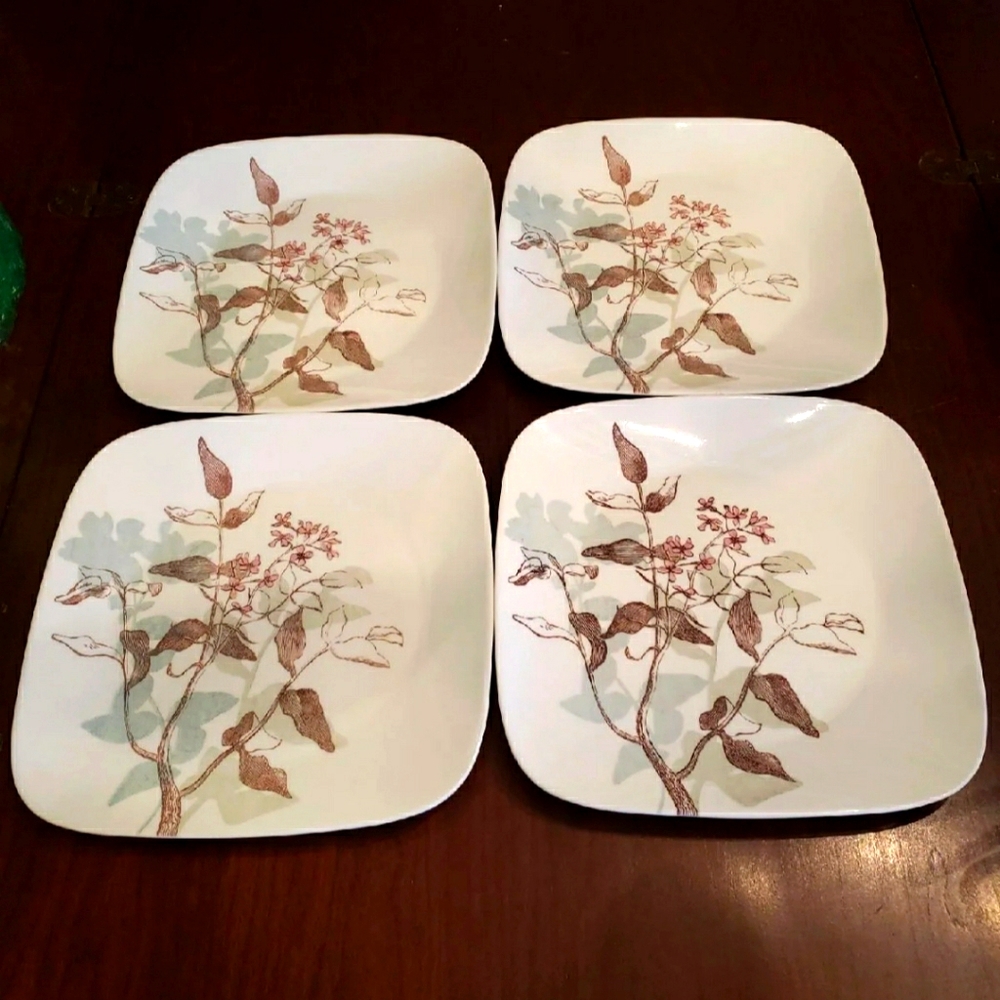 Corelle  dinner plates